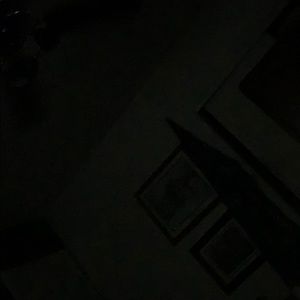 Meet your Posher, Peyton